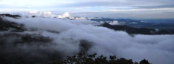 382/Fortune Resort Grace - Mussoorie 10.jpg